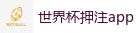 2026世界杯 (FIFA WorldCUP)中国竞彩指定网站
